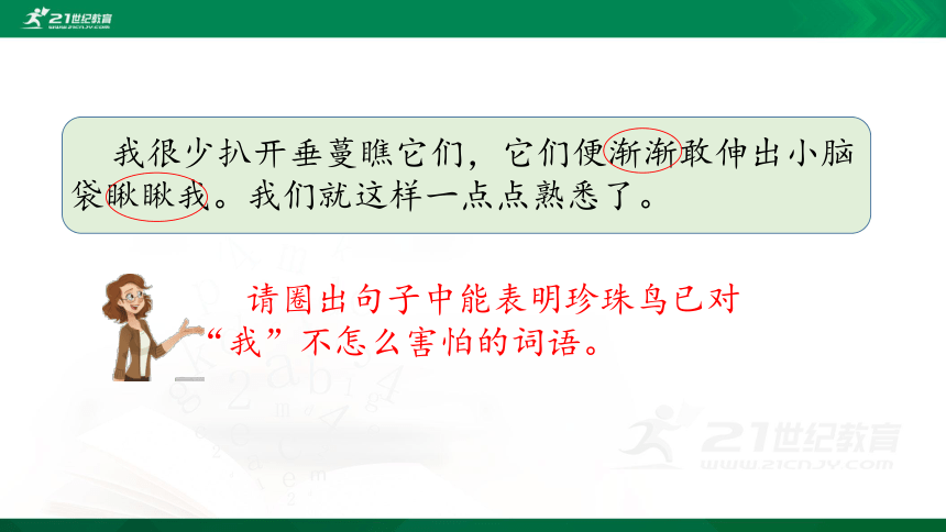 4 珍珠鸟    课件（共24张PPT）