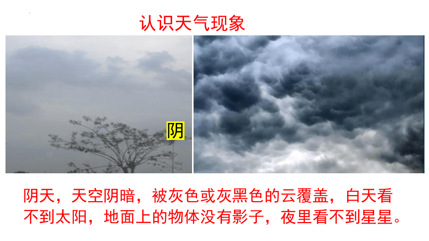冀人版（2017秋） 一年级下册3.9   多样的天气（课件）(共24张PPT)