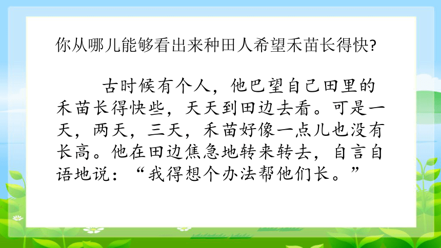 统编版语文二年级下册12 寓言二则 揠苗助长 课件 (共33张PPT)