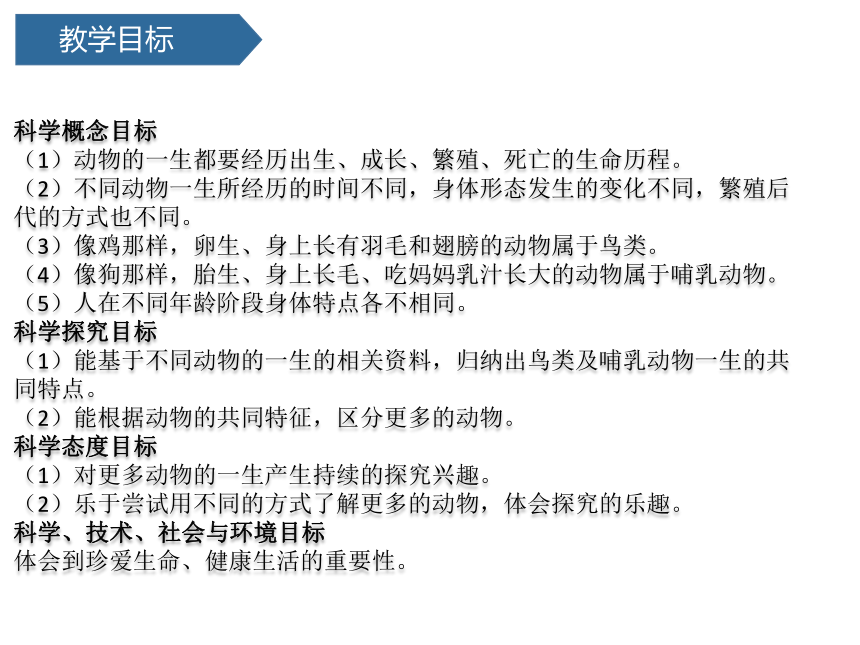 2.8 动物的一生 (课件共17张PPT)