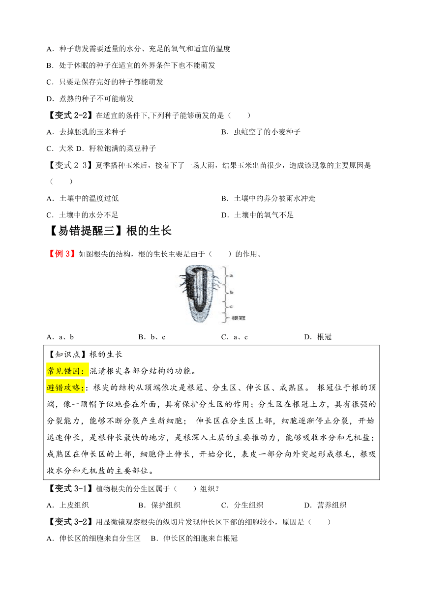 易错点04 绿色开花植物的生命周期-备战2024年中考生物易错题（含解析）