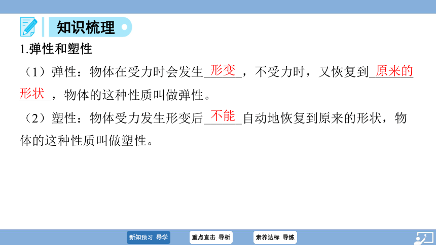 7.2 弹力 习题课件(共40张PPT) 2023-2024学年物理人教版八年级下册