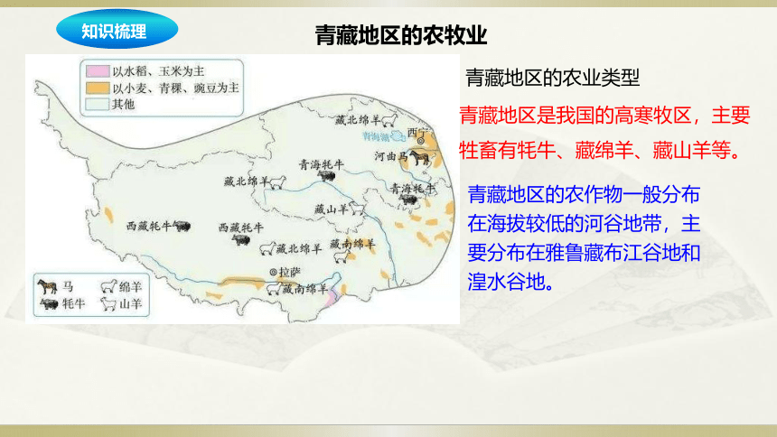 人教地理八年级下册第9章青藏地区章末复习课件（共46张ppt）