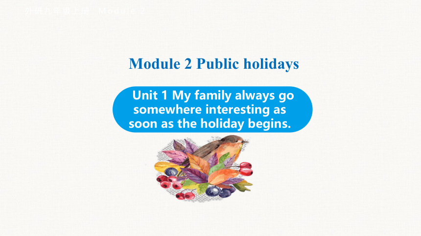 Module 2 Unit 1 My family always go somewhere interesting as soon as the holiday begins.课件(共29张PPT)