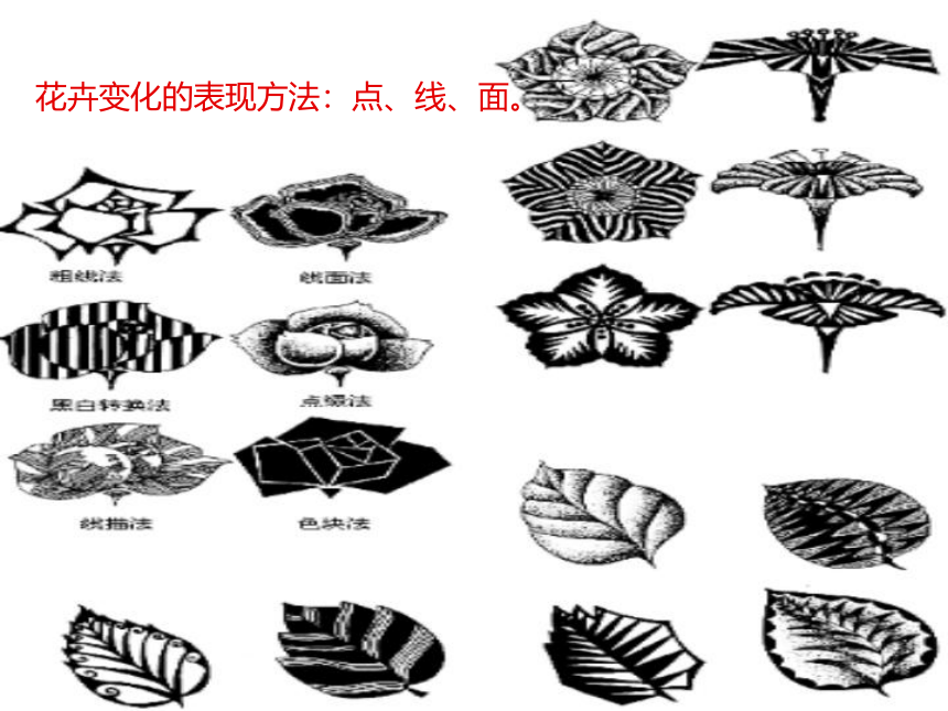 冀教版七年级下册 3.花卉装饰画 课件（28张幻灯片）