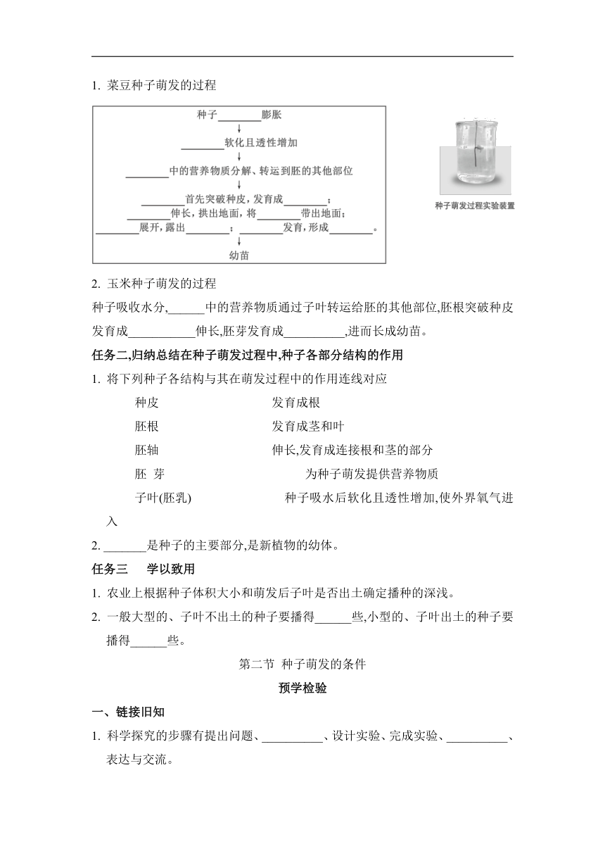 第三单元  第一章 种子的萌发和芽的发育 任务驱动式预学检验+课堂导学（含答案） 冀少版生物八年级上册