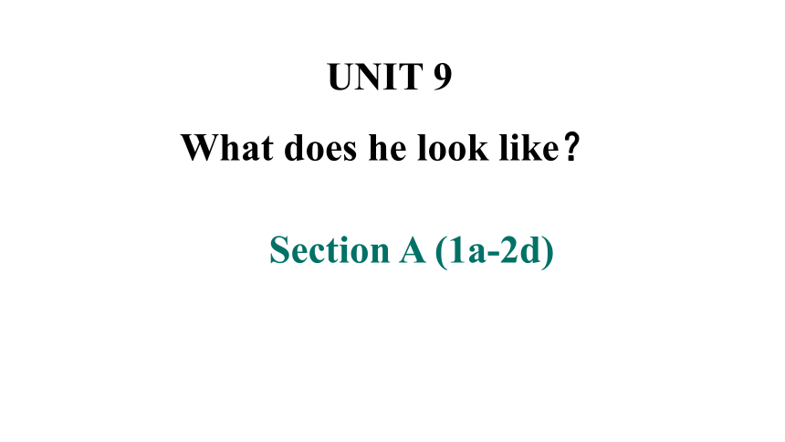 Unit 9 What does he look like? SectionA1a_2d课件(共26张PPT)2023-2024学年人教版英语七年级下册