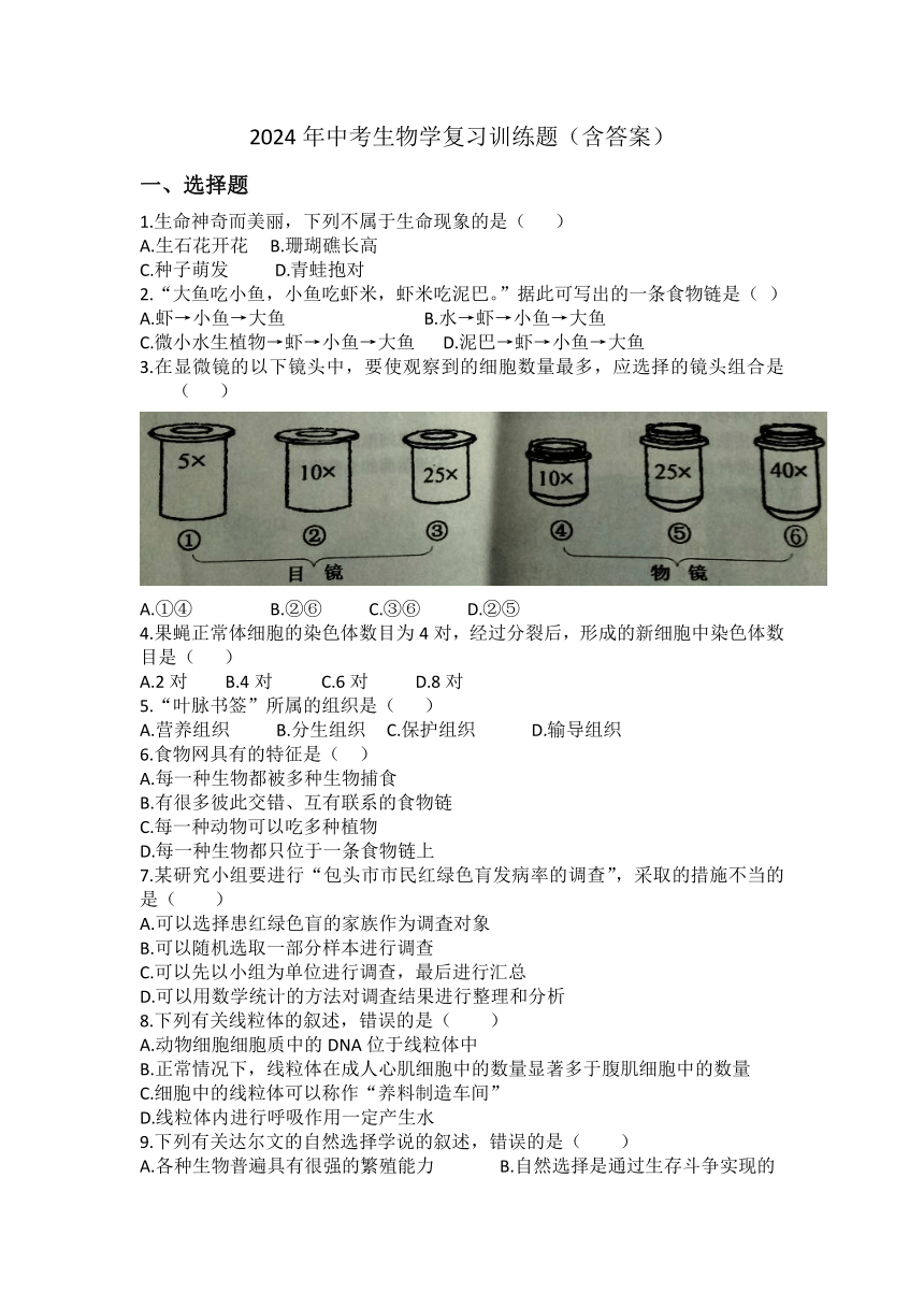 2024年中考生物学复习训练题（含答案）人教版