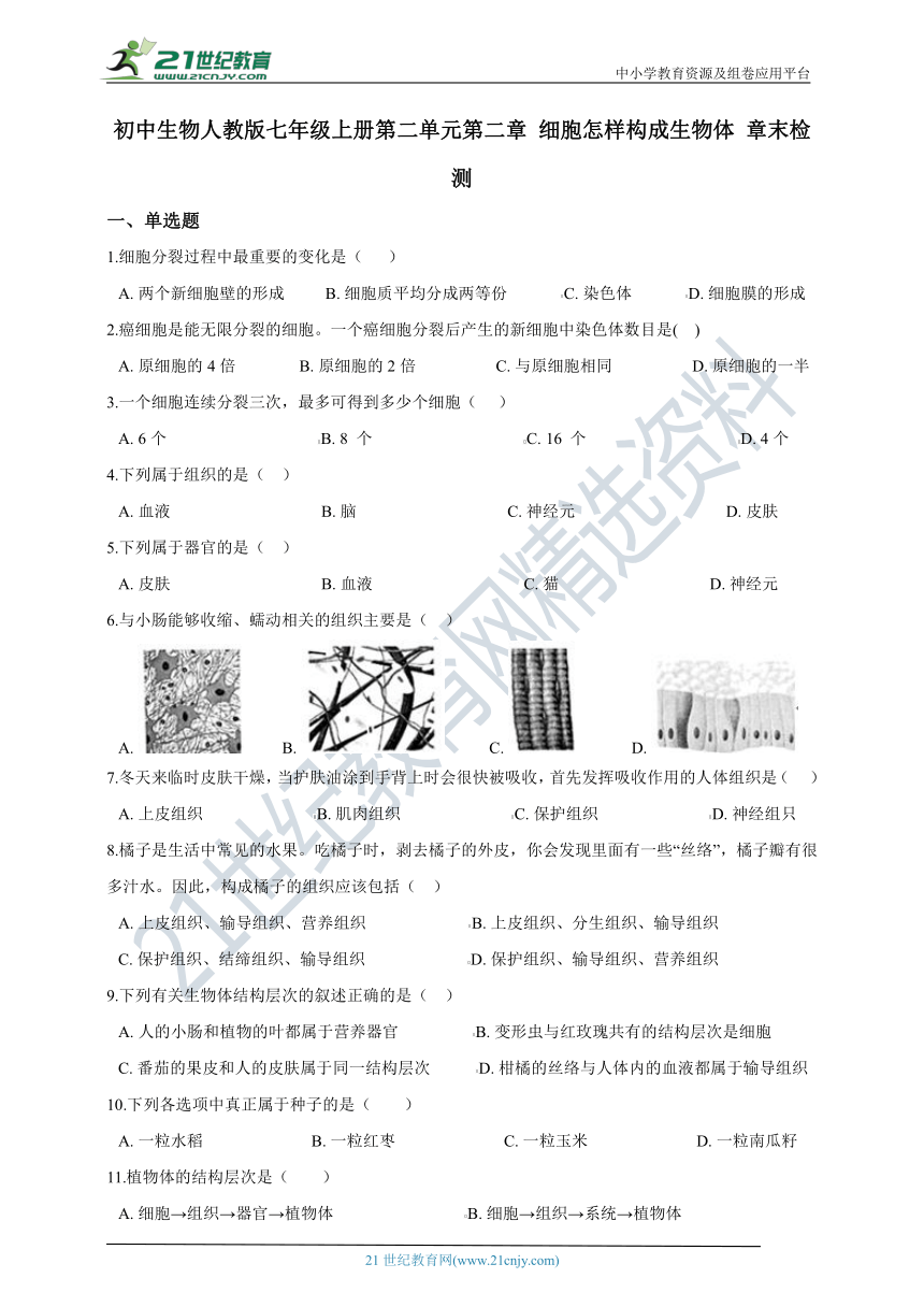 第二单元第二章 细胞怎样构成生物体 章末检测（含解析）