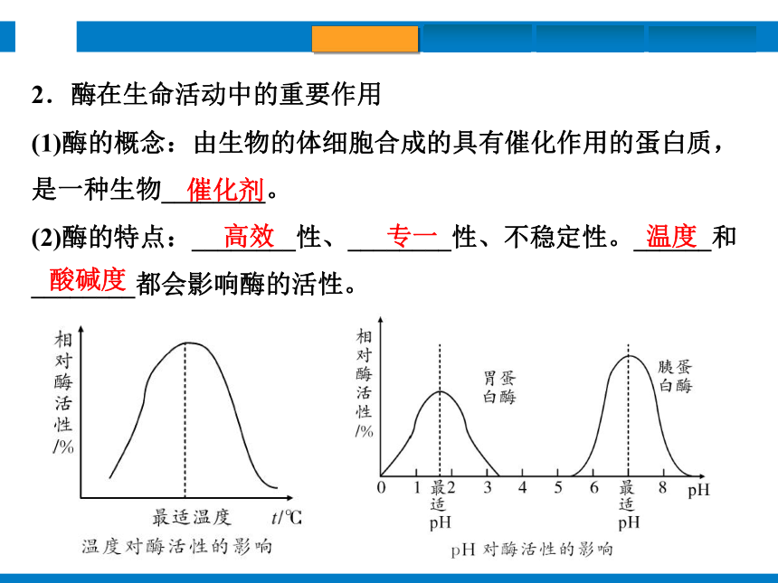 2024浙江省中考科学复习第6讲　动物的新陈代谢（1）（课件 50张PPT）