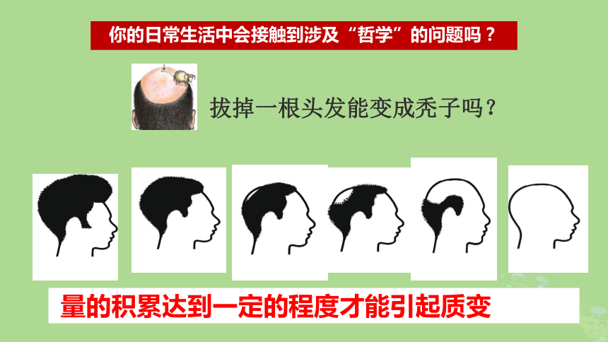 部编版必修4高中政治  1.1追求智慧的学问  课件(共67张PPT)