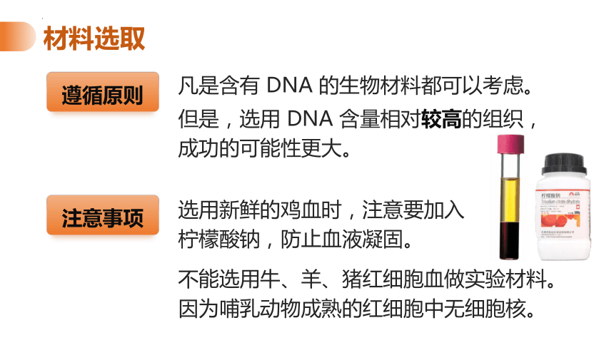 3.1.2 DNA的粗提取和鉴定 课件（22张PPT） 2023—2024学年高二下学期生物人教版选择性必修3