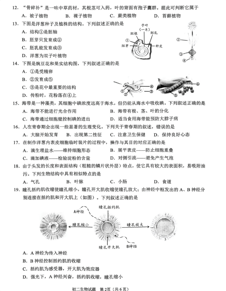 2024年5月福建省泉州市初中毕业班教学质量检测生物试题（PDF版无答案）