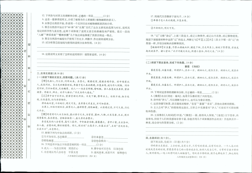 河南省洛阳市新安县2023-2024学年八年级下学期4月期中语文试题（图片版，含答案）