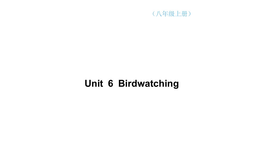 Unit 6Unit 6 Bird watching讲练课件(共88张PPT)