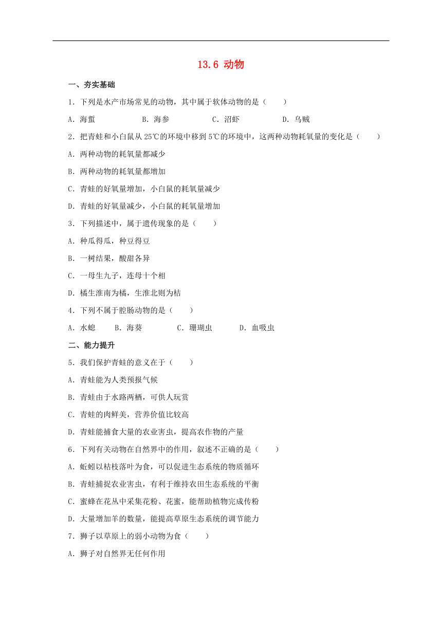 北京版8下生物 13.6 动物 同步练习(含解析)