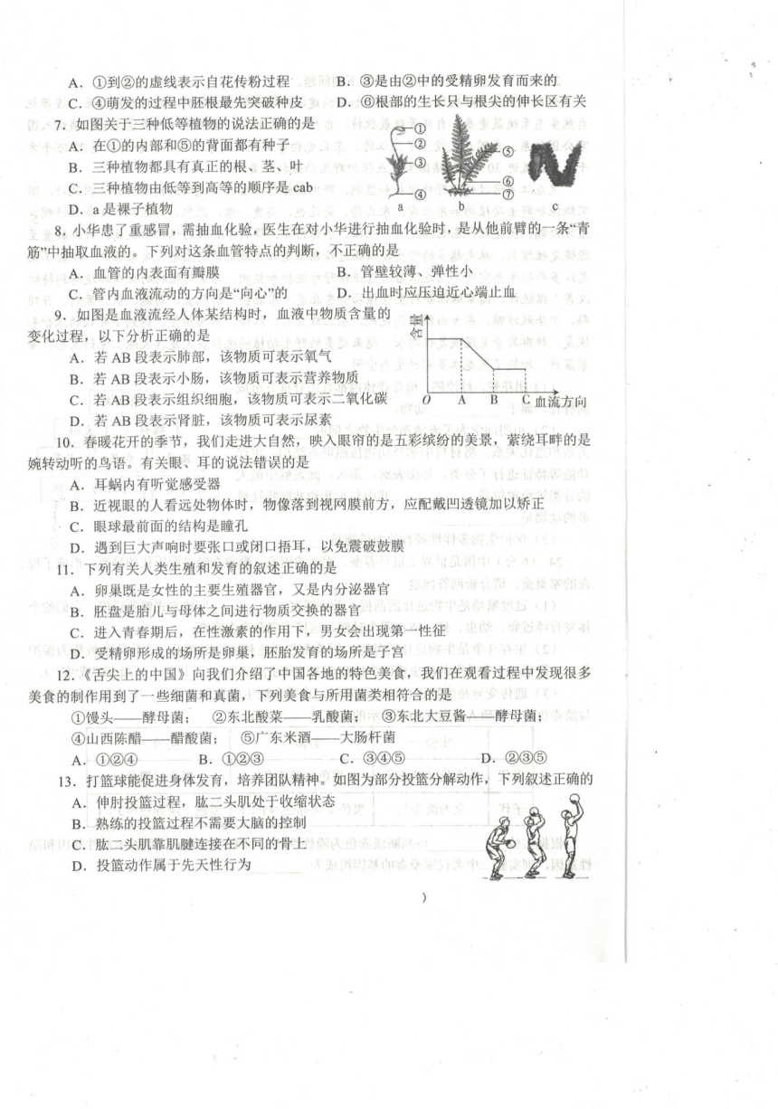 2024年河南省南阳市唐河县中考二模生物试题（PDF版无答案）