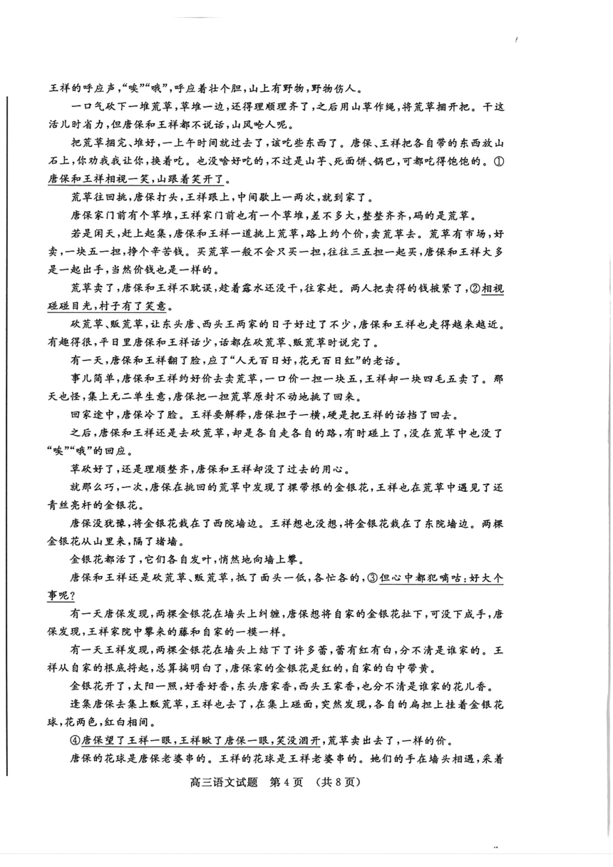 山东省济南市2024届高三高考针对性训练试题（三模）语文（图片版含答案）