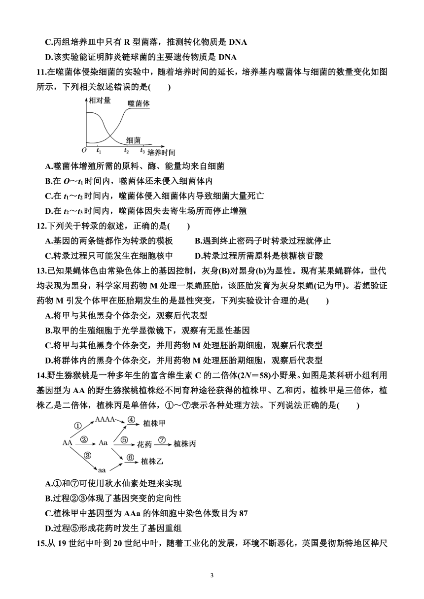 高中生物必修2（综合测试卷）（附答案）—2023-2024学年高一下学期生物必修2（人教版(2019））