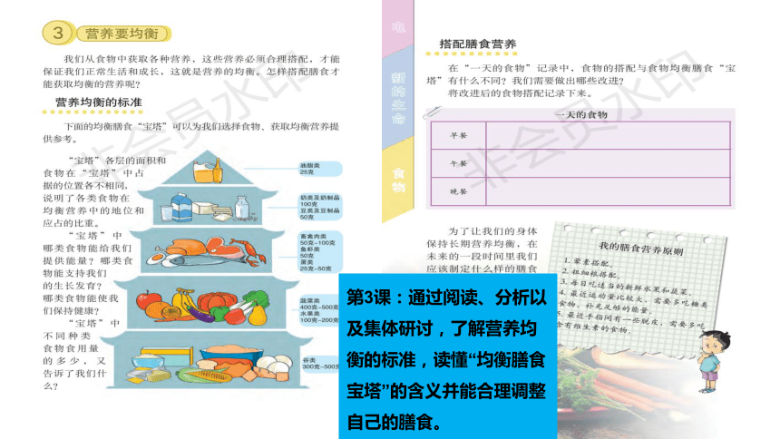 教科版小学科学四年级下册《食物》单元复习（课件27PPT）