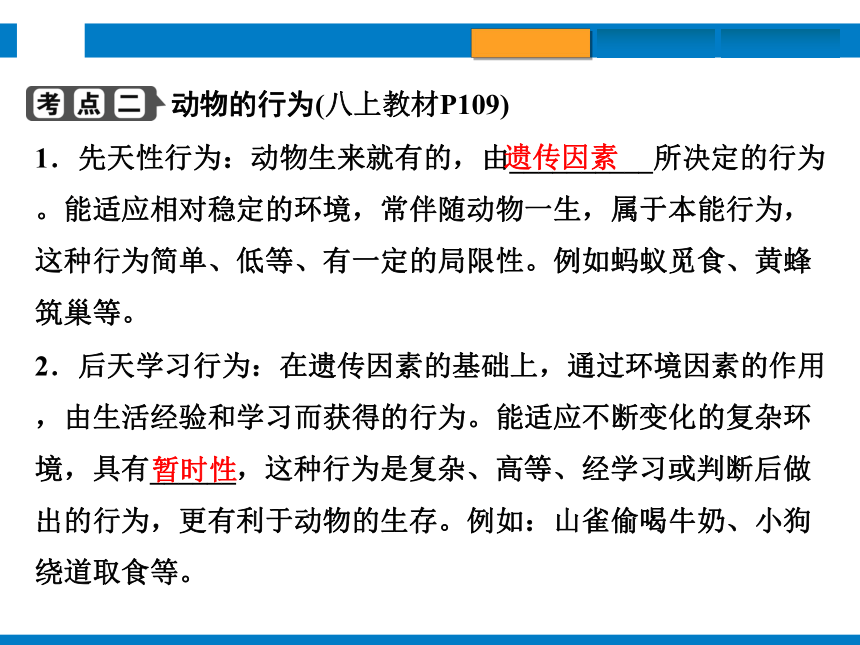 2024浙江省中考科学复习第8讲　生命活动的调节（课件 39张PPT）