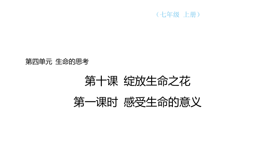 （核心素养目标）10.1 感受生命的意义 学案课件(共23张PPT) 2024-2025学年道德与法治统编版七年级上册