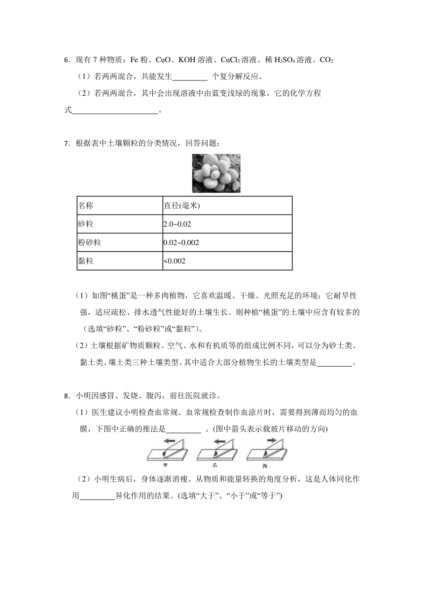 2024年浙江省科学中考考前每日一练 第8卷（含解析）