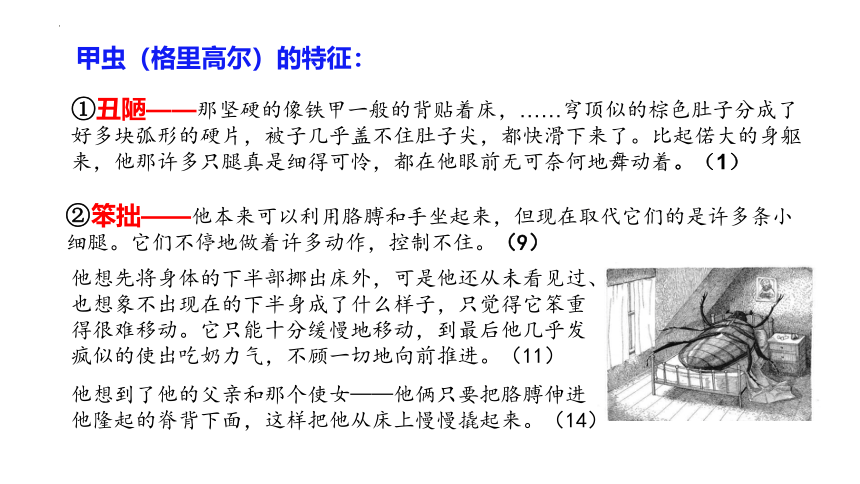 14.2《变形记（节选）》课件(共35张PPT)  2023-2024学年统编版高中语文必修下册