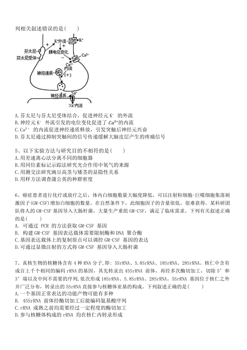 天津市第一中学2023-2024学年高三下学期5月月考生物学试卷（含答案）