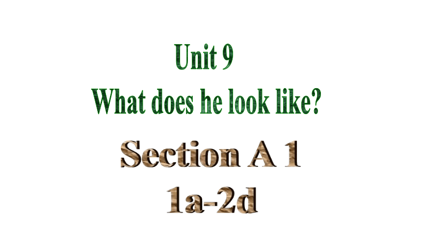 Unit9 What does he look like SectionA 1a-2d 课件＋音频 (共24张PPT)人教版英语七年级下册