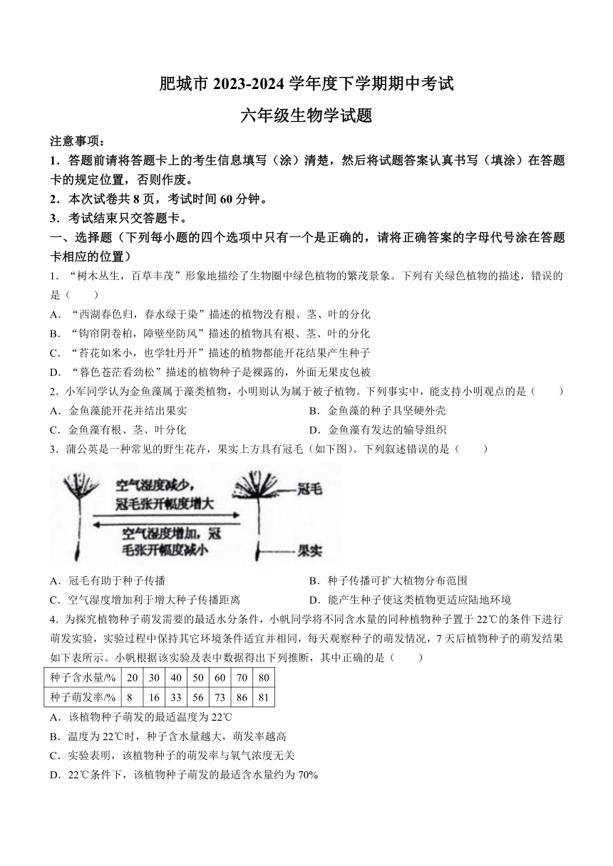 山东省泰安市肥城市2023—2024学年（五四学制）六年级下学期期中考试生物试题（word版含答案）