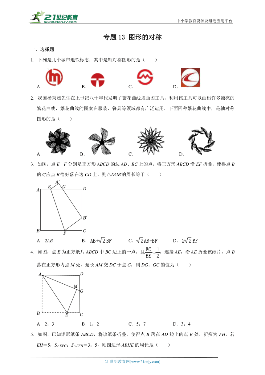 专题13 图形的对称-2024年浙江省中考数学一模试题汇编（含解析）