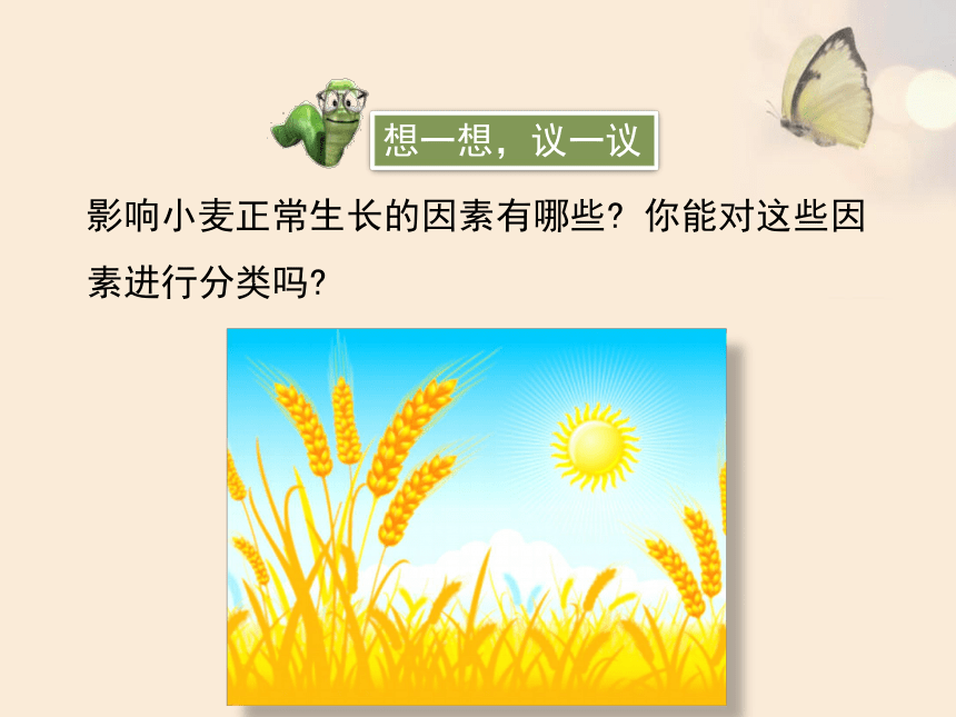 北师大版八年级生物下册 8.23.1 生物的生存依赖一定的环境课件(共28张PPT)