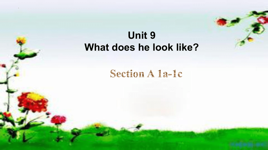 Unit 9 What does he look like?Section A (1a-1c) 课件 2023-2024学年人教版英语七年级下册 (共30张PPT，含内嵌音频)