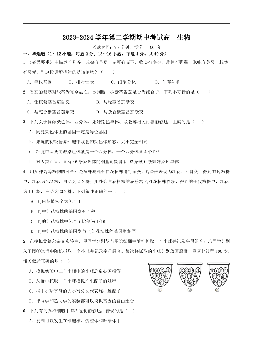 广东省湛江市第二十一中学2023-2024学年高一下学期期中考试生物（选考）试卷（含答案）