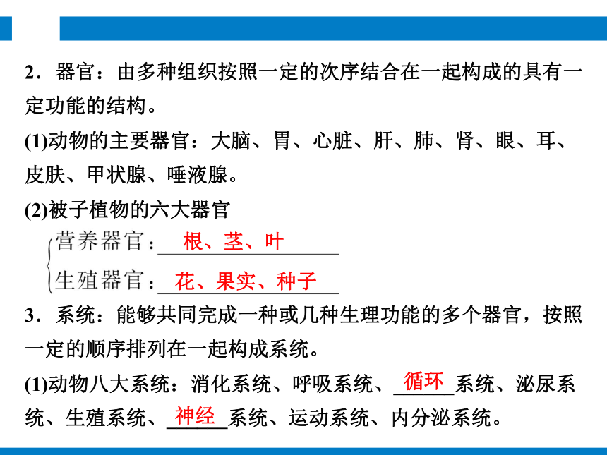 2024浙江省中考科学复习 第2讲　生物体的结构和层次（课件 48张PPT）