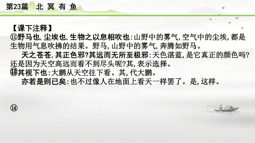 2024年中考语文备考文言文梳理与迁移训练 -《北冥有鱼》课件(共21张PPT)