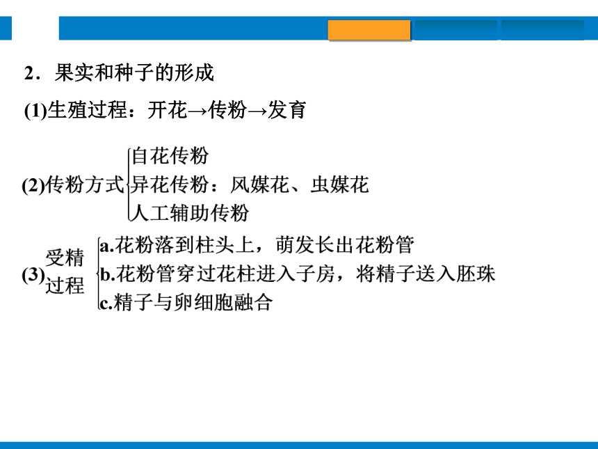 2024浙江省中考科学总复习第4讲　植物的生殖和发育　细菌、真菌的繁殖（课件 32张PPT）