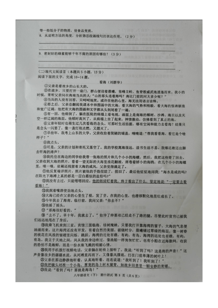 广西壮族自治区北海市合浦县2023-2024学年八年级下学期5月期中语文试题（pdf版无答案）