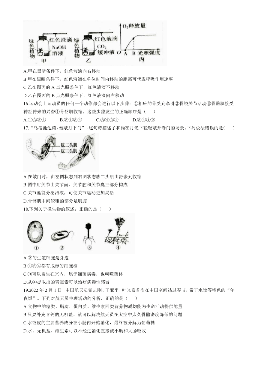 2024年山东省枣庄市薛城区八年级学生综合素养检测生物试题（含答案）