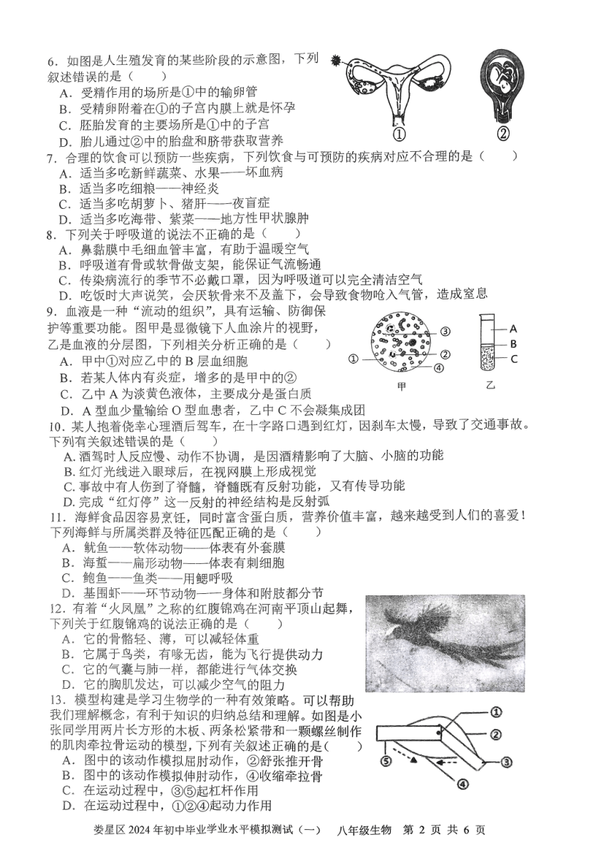 2024年湖南省娄底市娄星区八年级中考生物第一次模拟试卷（pdf版无答案）