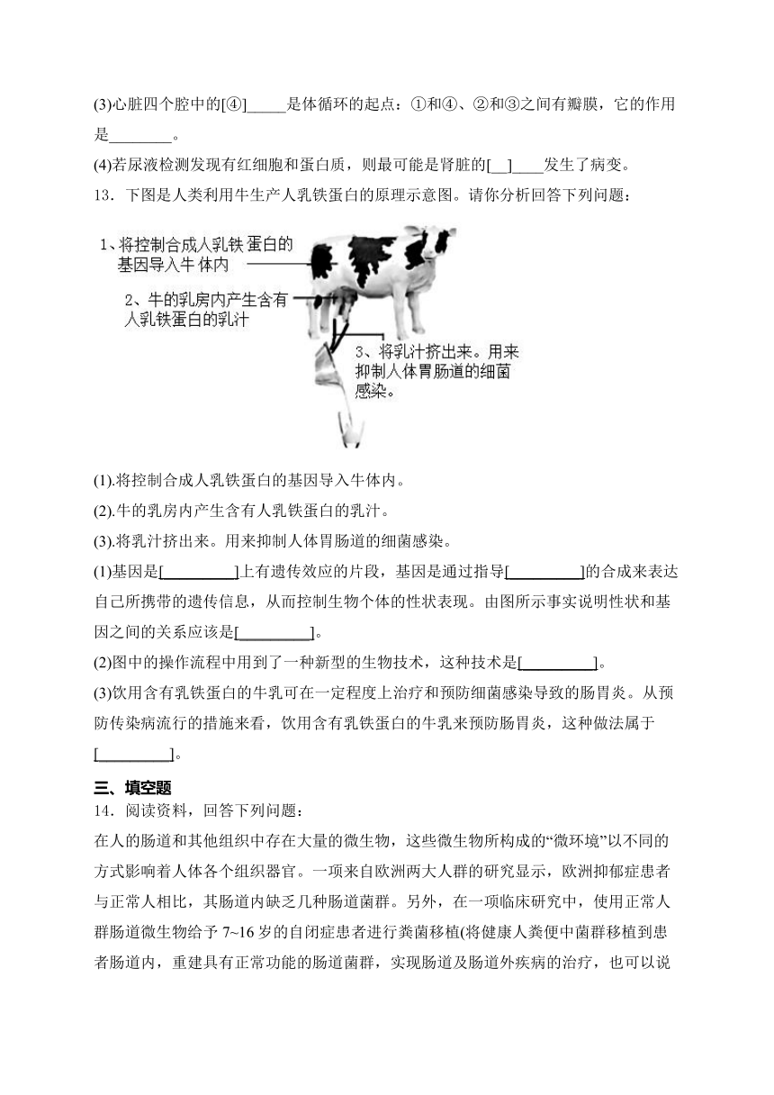 安徽省芜湖市第一中学2022-2023学年九年级下学期六月生物练习最后一卷生物试卷(含解析)