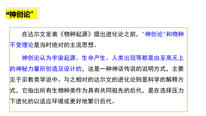 13.1《自然选择的证明》课件（共37张PPT） 统编版高中语文选择性必修下册