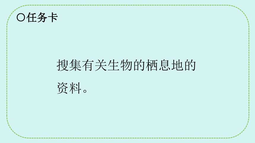 青岛版（六三制2017秋）五年级下册科学  5.19生物的栖息地 课件(共22张PPT)