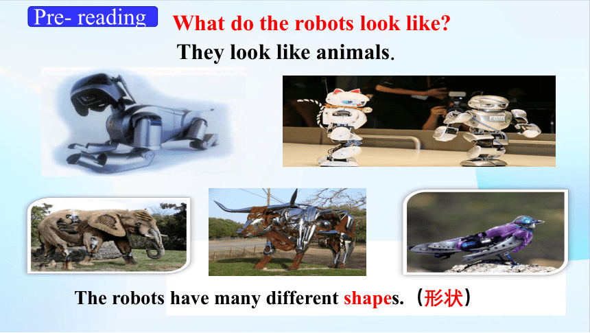 人教版初中英语八年级上册 Unit 7 Will people have robots Section B 2a-2e课件(共38张PPT)