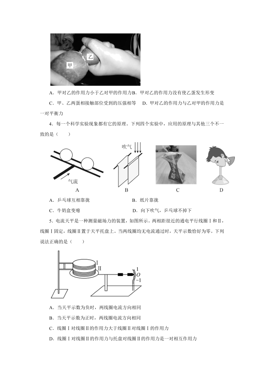 浙江省2024年中考物理第三次模拟考试（有解析）