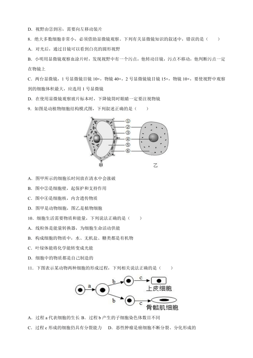 易错点15 选择题必刷66题-备战2024年中考生物易错题（含解析）