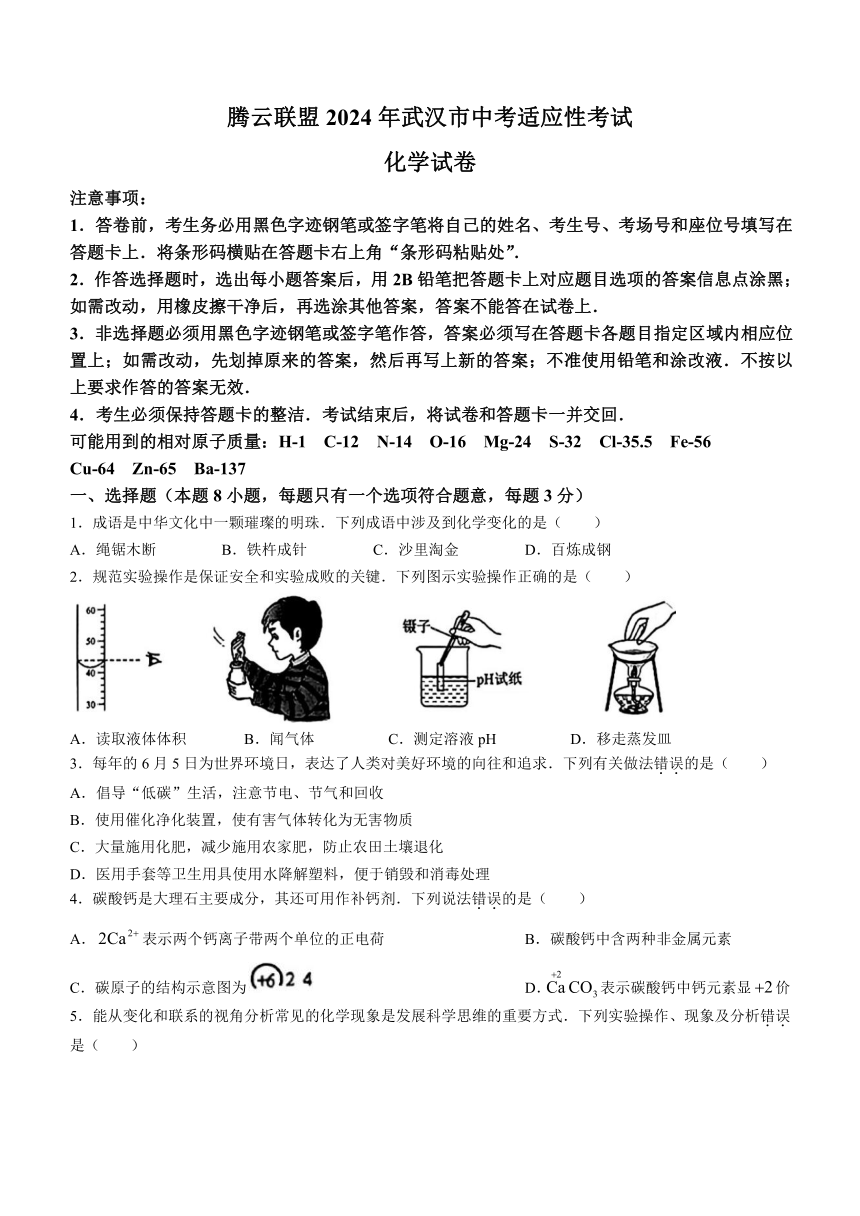 2024年湖北省武汉市腾云联盟中考适应性考试（二模）化学试题（含答案）