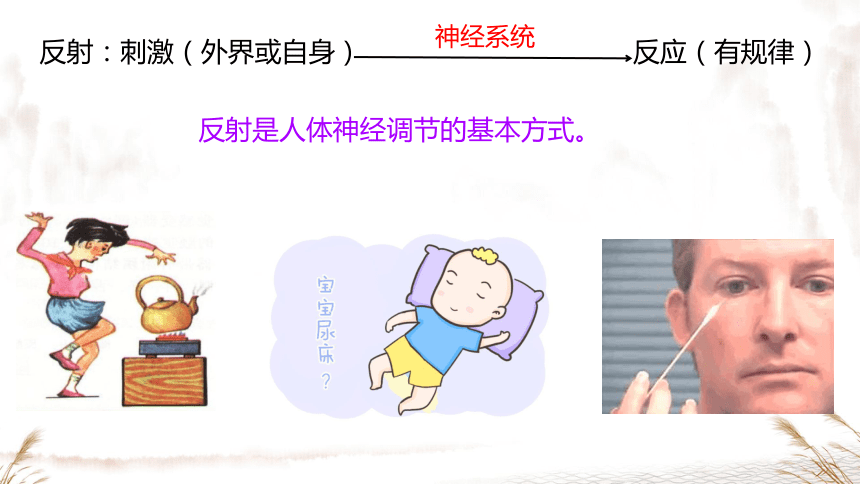 4.6.3  神经调节的基本方式 课件(共40张PPT＋内嵌视频2个)人教版 七年级下册