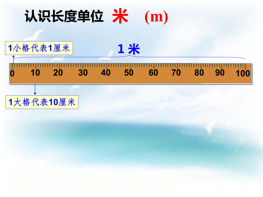 沪教版三上 5.2 米与厘米 课件  (共16张PPT)